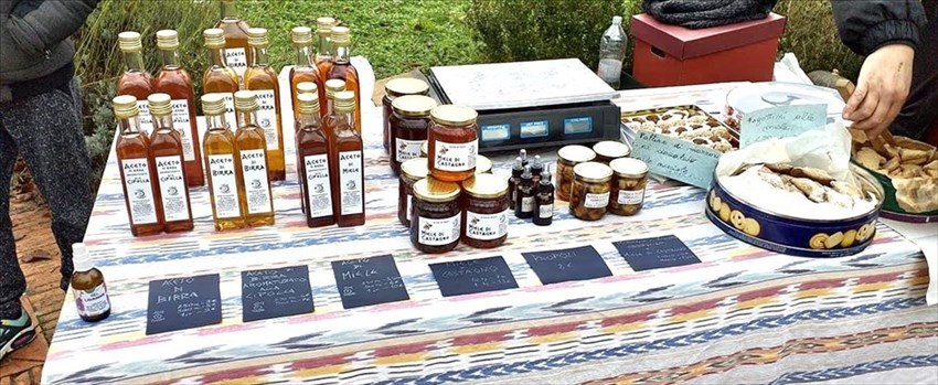 Il mercato del Contadino