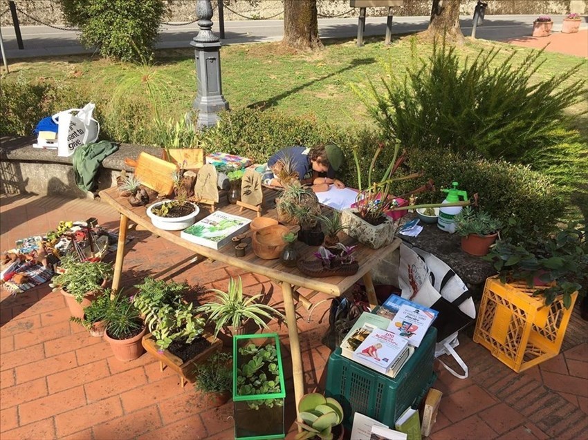 Il mercato del Contadino