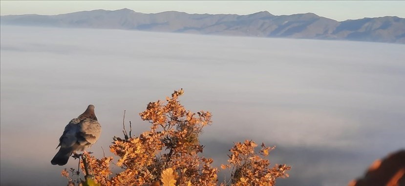 Sotto la nebbia, il Mugello