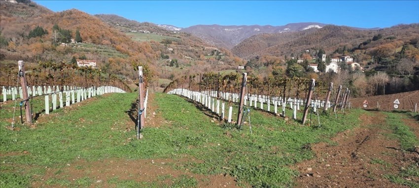 Le foto del giro del nostro lettore