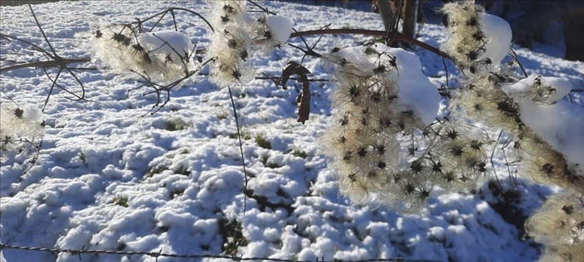 Le foto del giro del nostro lettore