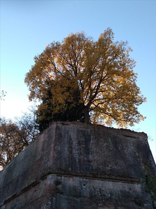 La Fortezza di San Piero