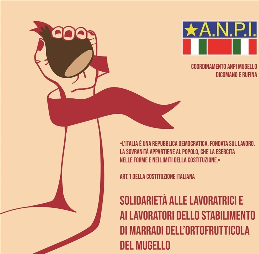 Il manifesto creato da Anpi