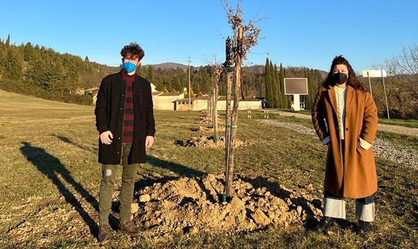 Gli alberi messi a dimora a Vicchio