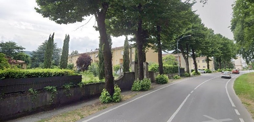 Gli alberi a Borgo