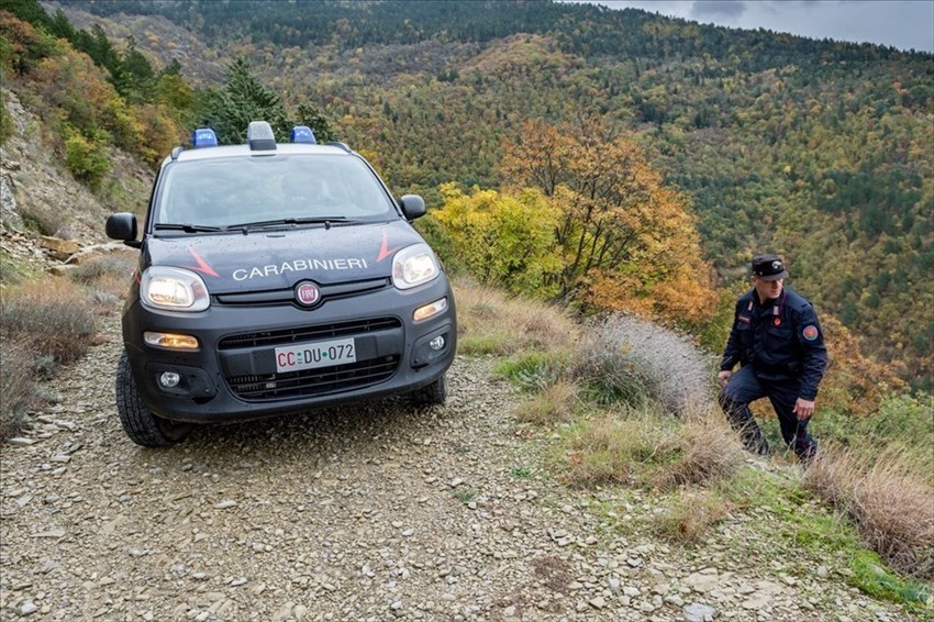 Carabinieri Forestali