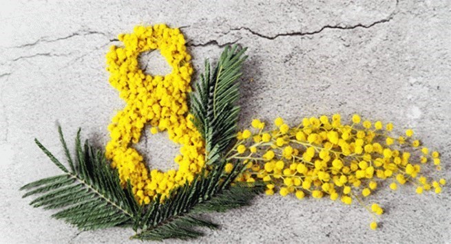 Festa della donna o giornata della donna?