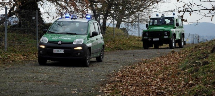 Carabinieri Forestali