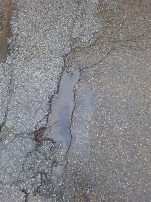 La strada per Frascole