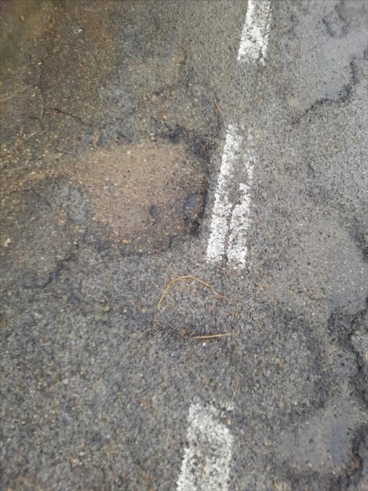 La strada per Frascole