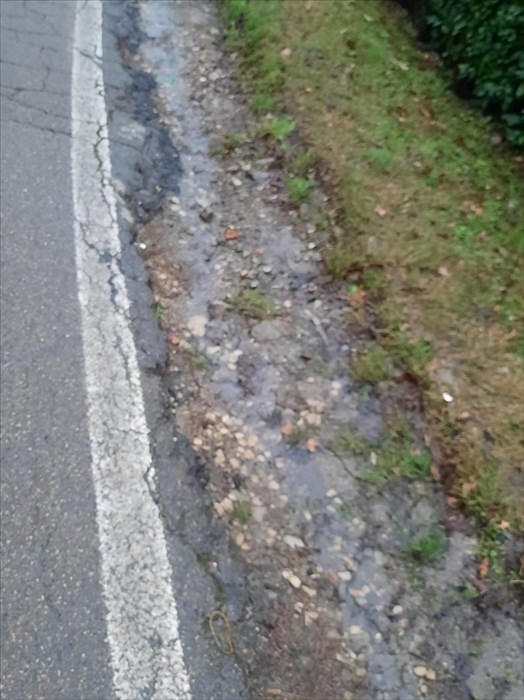 La strada per Frascole