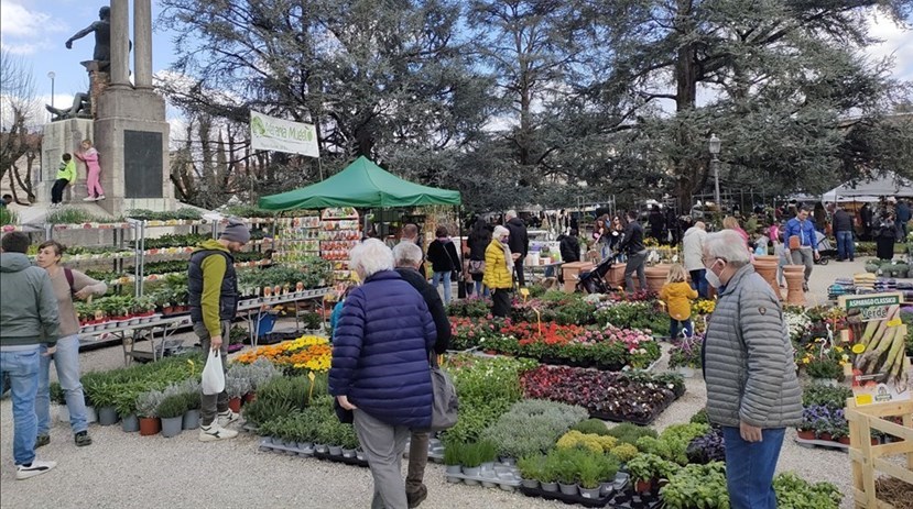Una foto della manifestazione