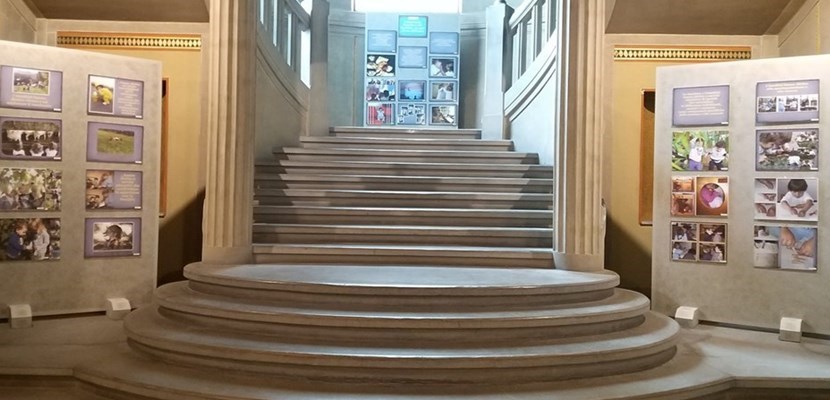 La mostra nel palazzo comunale di Borgo