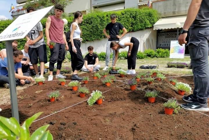 I ragazzi e l'aiuola. Foto del Giorno