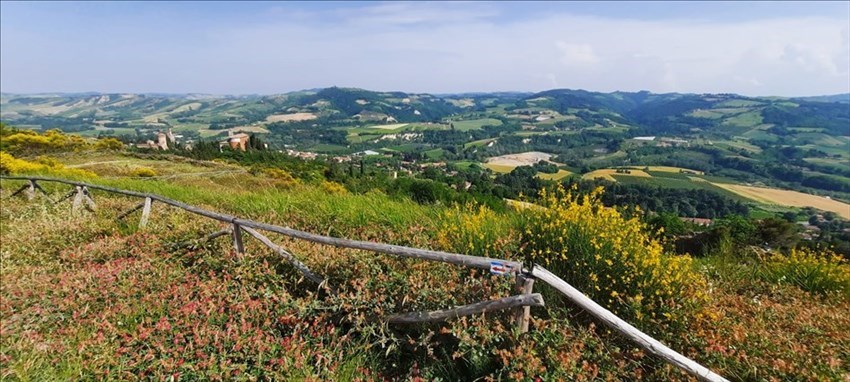 Le foto dell'uscita