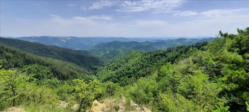 Le foto dell'uscita