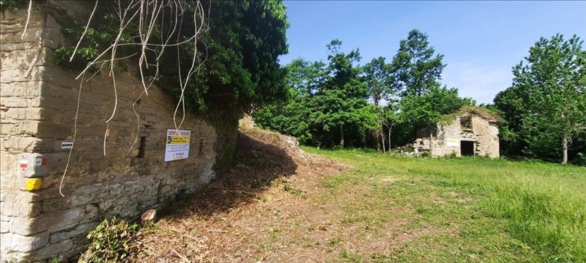 Le foto dell'uscita