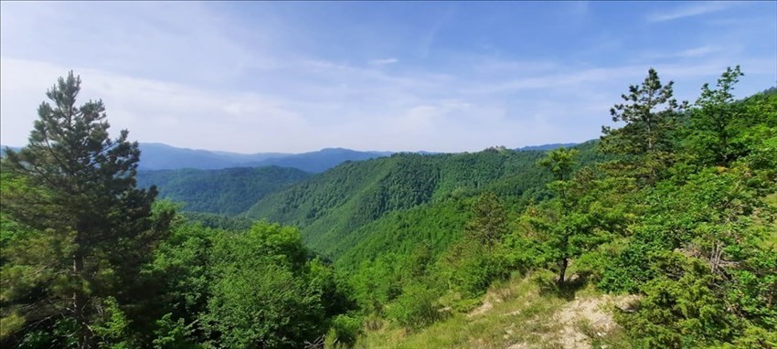 Le foto dell'uscita
