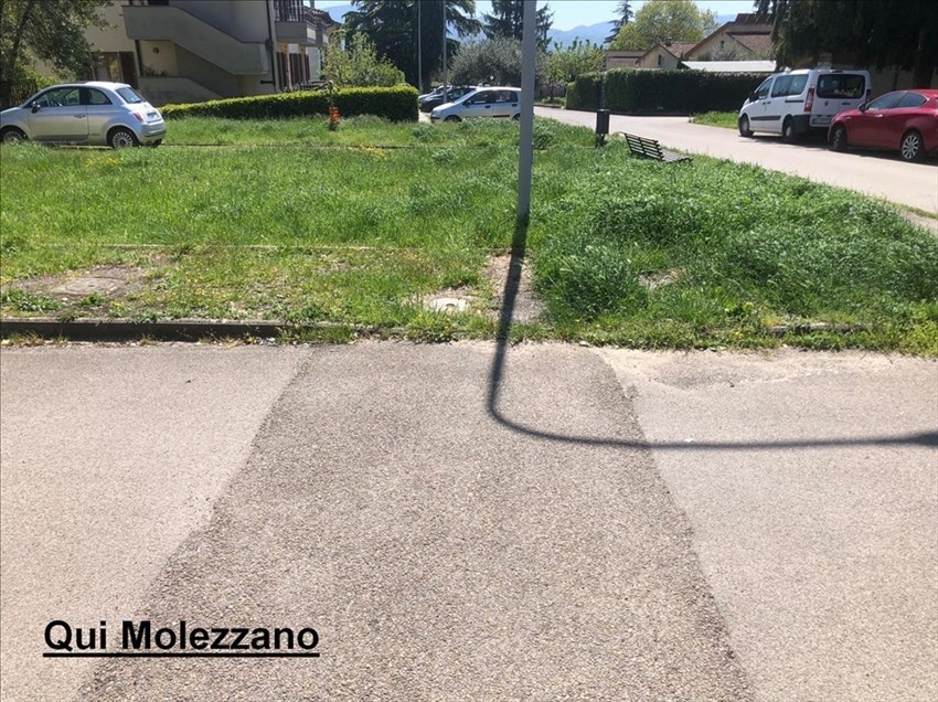 Erba alta a Molezzano