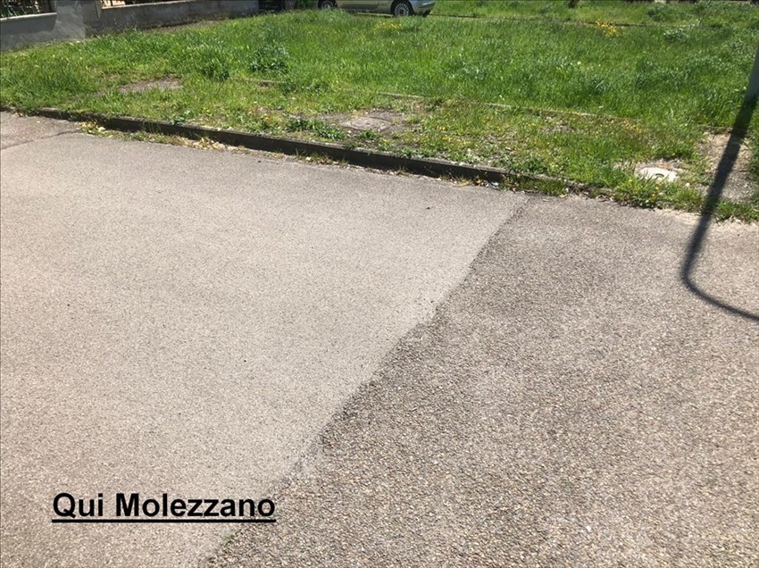 Erba alta a Molezzano