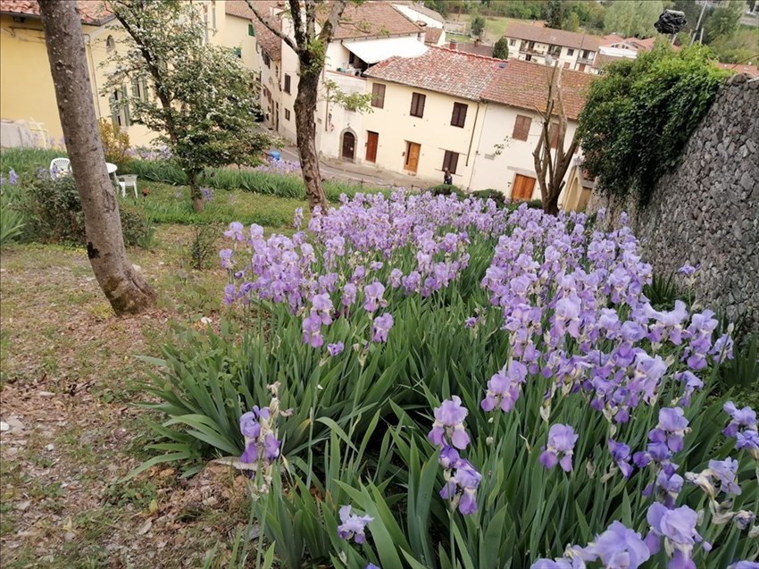Il giardino di Villa Adami