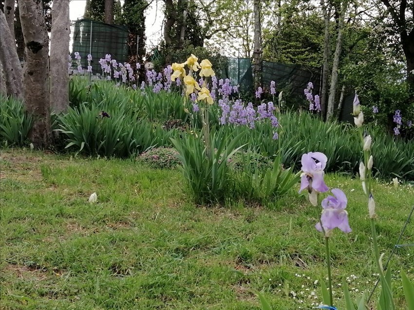 Il giardino di Villa Adami a San Piero