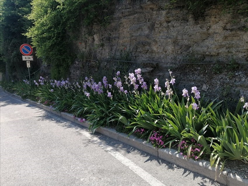 Il giardino di Villa Adami a San Piero