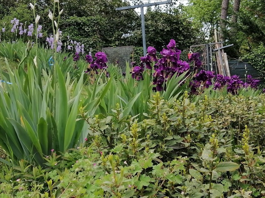 Il giardino di Villa Adami a San Piero