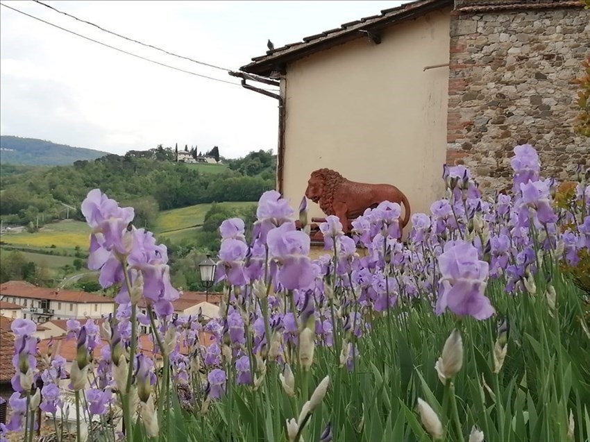 Il giardino di Villa Adami a San Piero