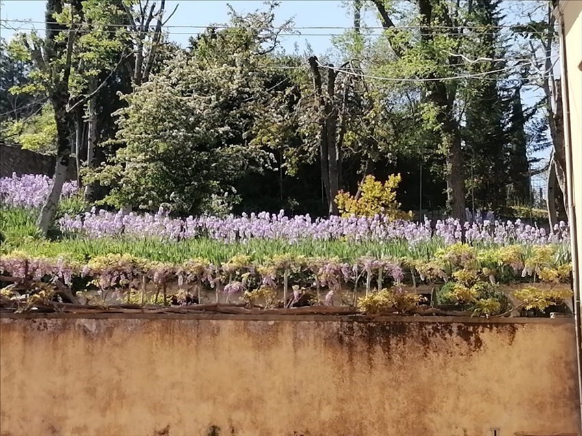 Il giardino di Villa Adami a San Piero