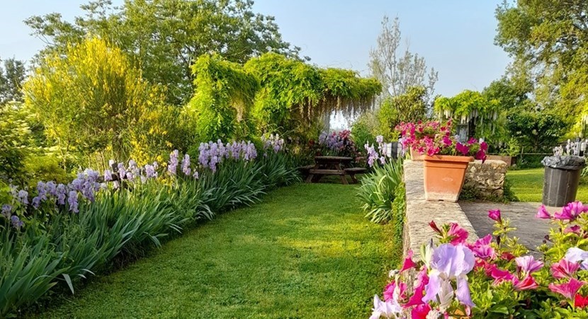 Il giardino della Casa di Giotto