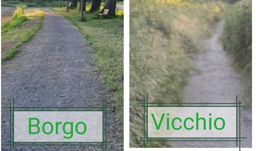 Il confronto dei lettori