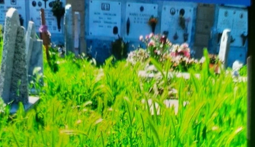 Erba alta al cimitero di Borgo