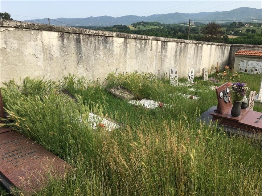 Cimitero di San Quirico 4 giugno