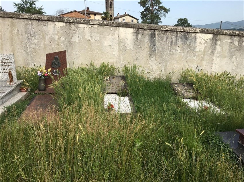 Cimitero di San Quirico 4 giugno