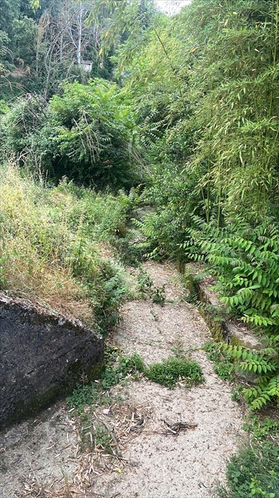 Le foto della nostra lettrice