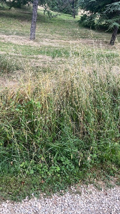 Le foto della nostra lettrice