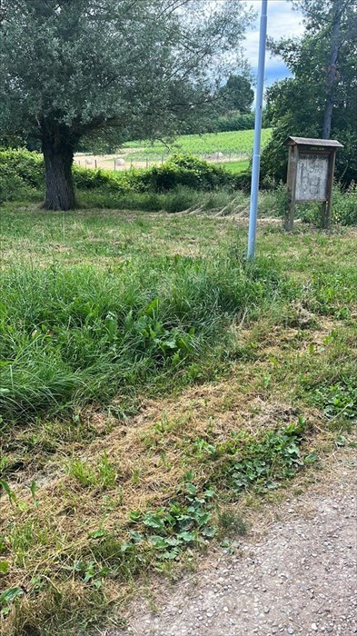 Le foto della nostra lettrice