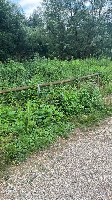 Le foto della nostra lettrice