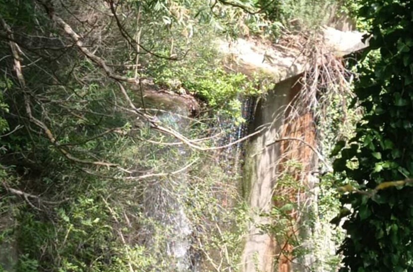 La diga di Gattaia ormai nascosta dalla vegetazione