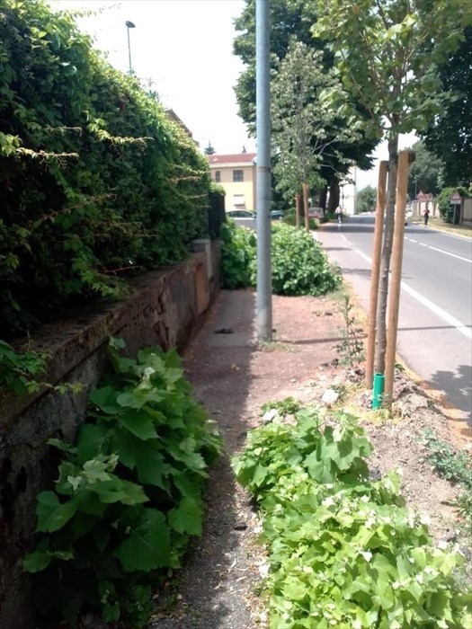 Il tratto in questione