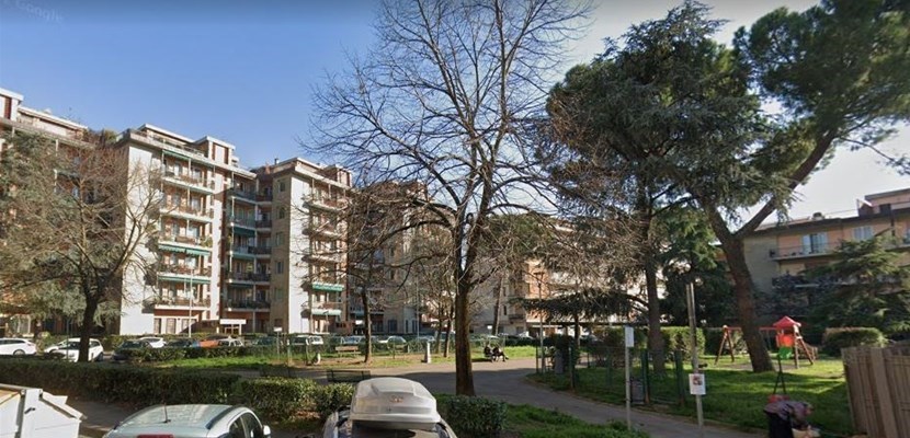 il giardino Remo Petroni