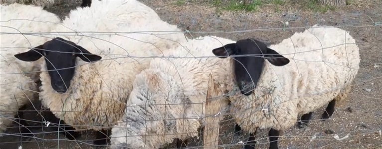 Quella sedia in strada da 3 giorni. Foto del giorno e denuncia di un lettore