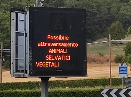 Attenti agli ‘Animali selvatici vegetali’ sulle strade del Mugello
