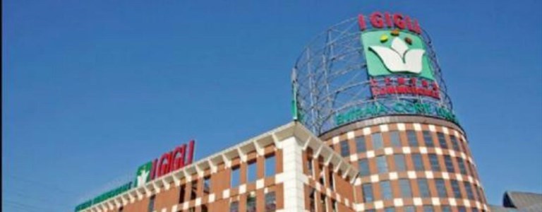 il centro commerciale I Gigli