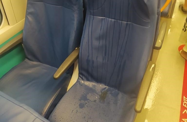 Il treno in questione