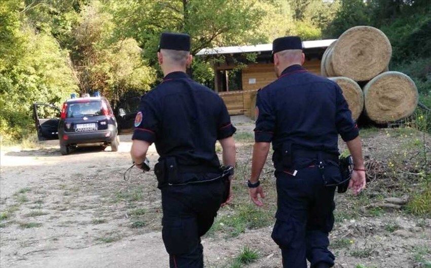 I forestali in azione