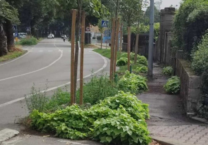 Marciapiede lungo Viale Giovanni XXIII