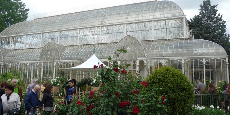 La serra del giardino dell'Orticoltura