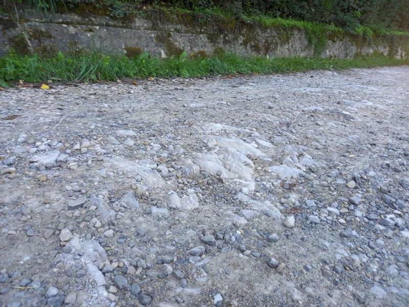 La strada comunale di Bricciana